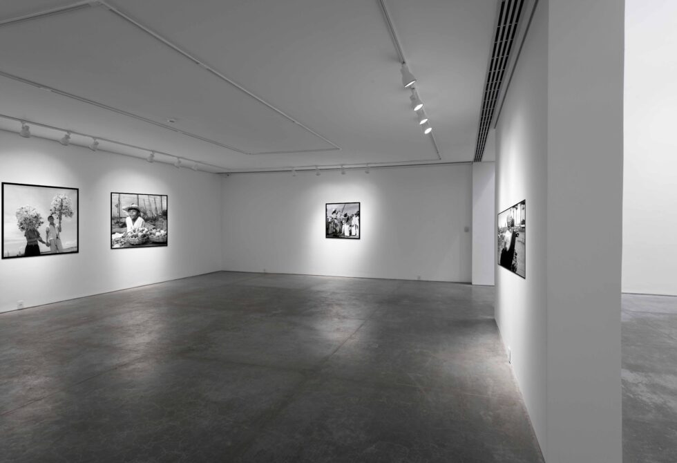 Abertura da exposição, dia 13 de dezembro, às 19h